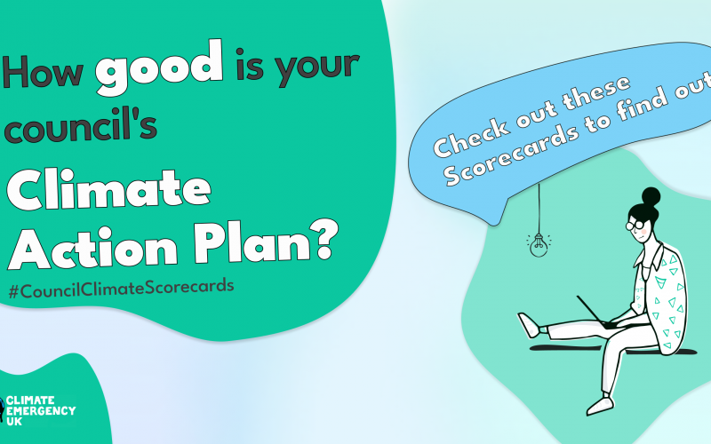 Climate Emergency campaign image